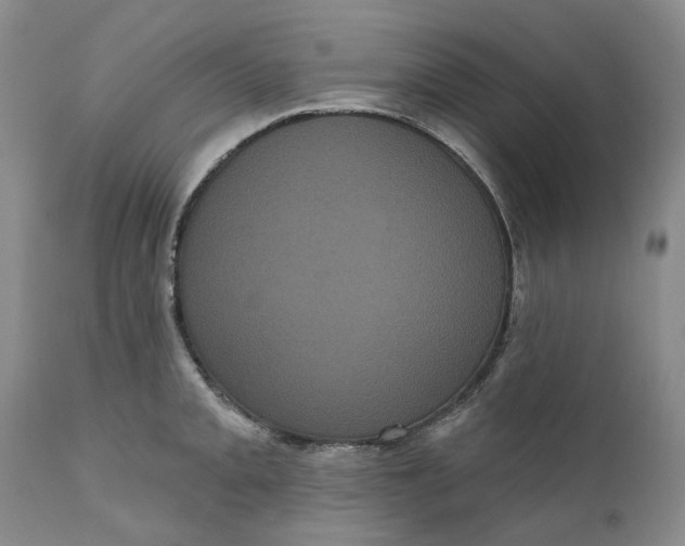 X0000111051093200907091628