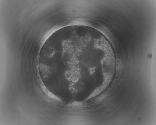 X0000111051094200907091628