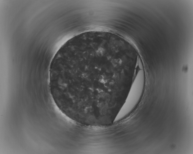 X0000111051095200907091628