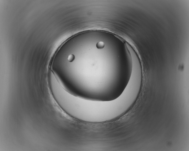 X0000111051096200907091628