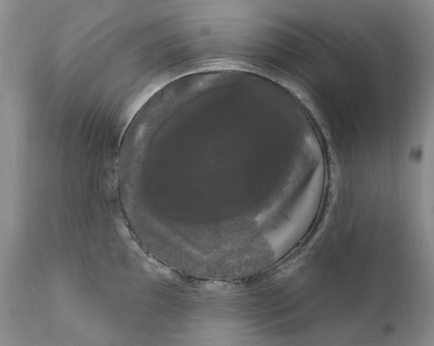 X0000111051097200907091628