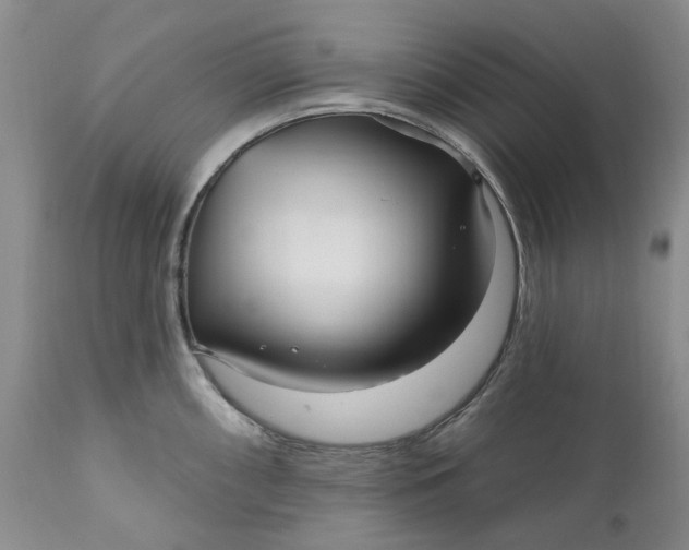 X0000111051098200907091627