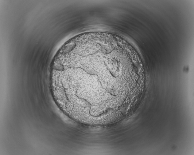 X0000111051099200907091627