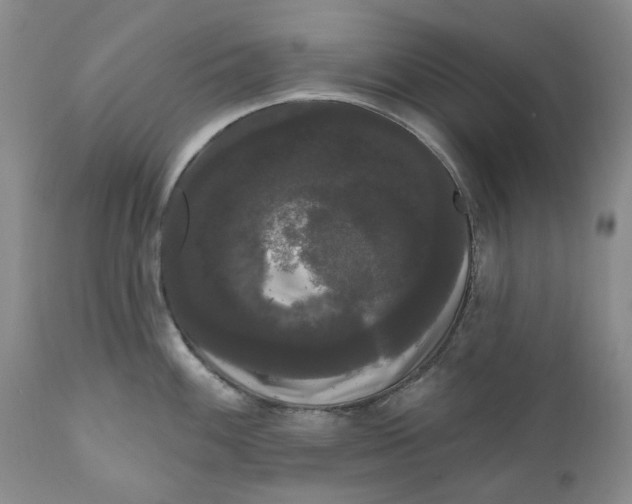 X0000111051100200907091627