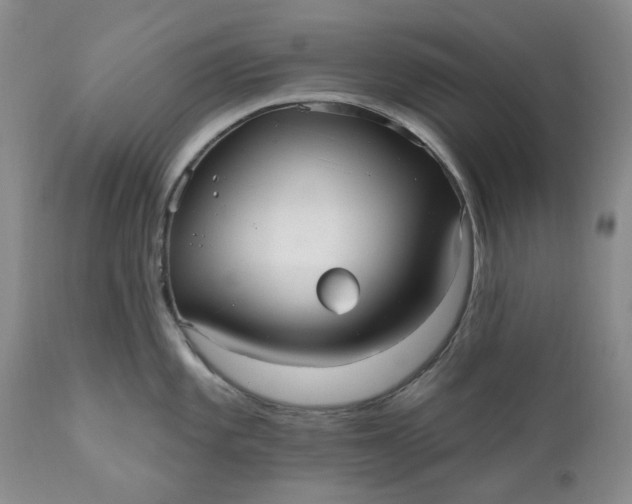 X0000111051101200907091627