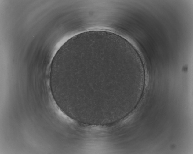 X0000111051102200907091627