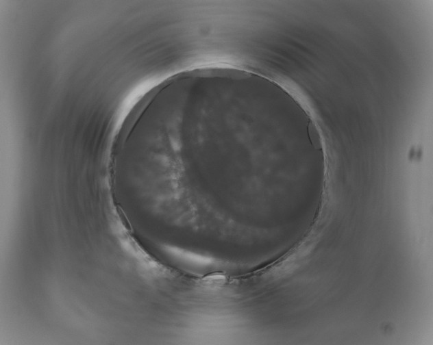 X0000111051104200907091627