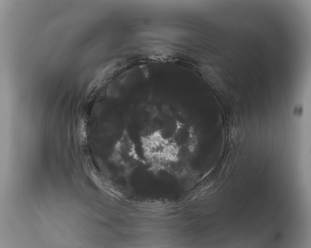 X0000111051106200907091627