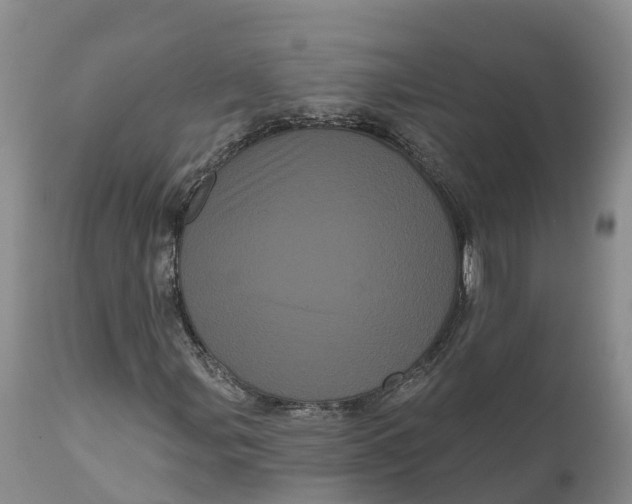 X0000111051107200907091627