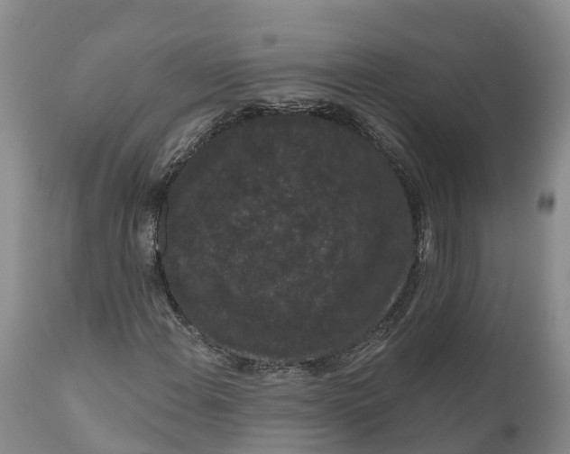 X0000111051108200907091627