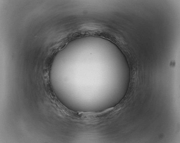 X0000111051109200907091627