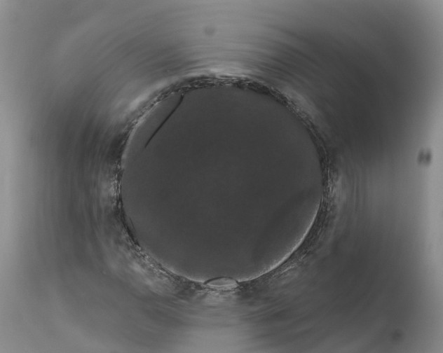 X0000111051110200907091627