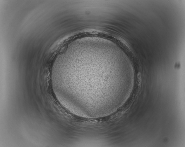 X0000111051111200907091627