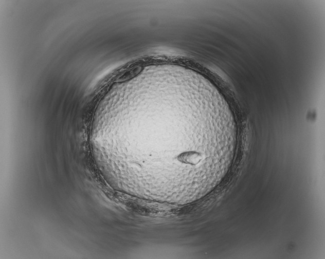 X0000111051112200907091627