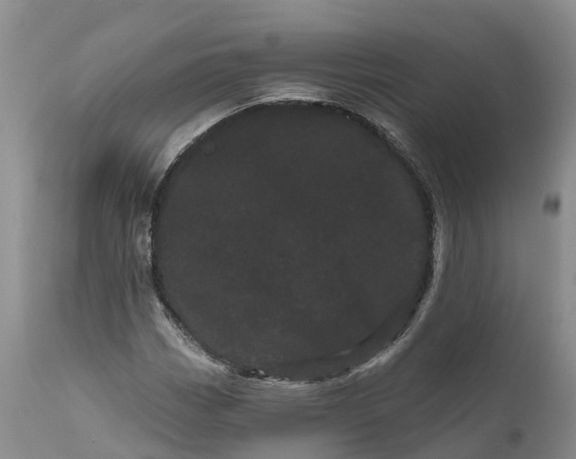 X0000111051113200907091627