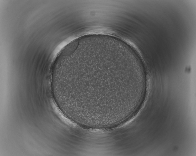 X0000111051114200907091627