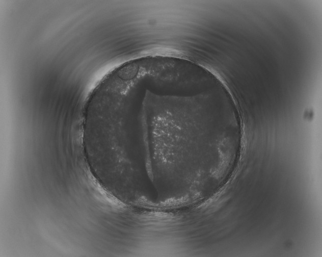 X0000111051115200907091627