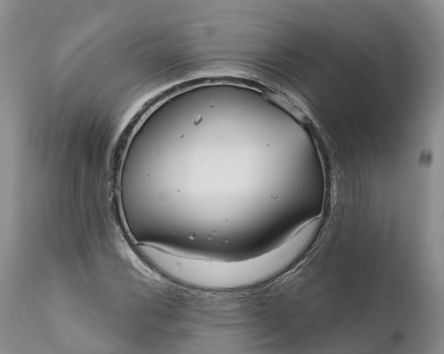 X0000111051116200907091627