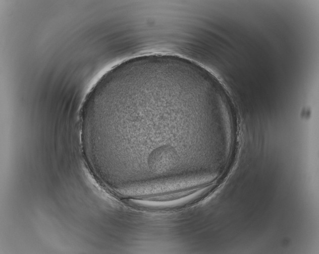 X0000111051118200907091627