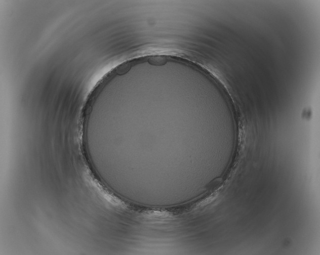 X0000111051119200907091627