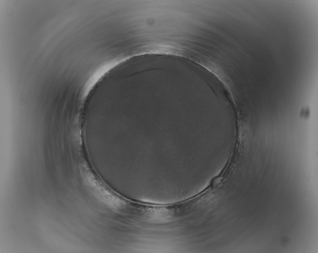 X0000111051120200907091627