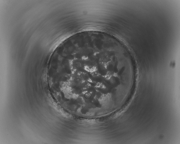 X0000111051121200907091627