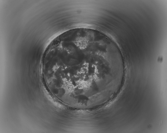 X0000111051125200907091627