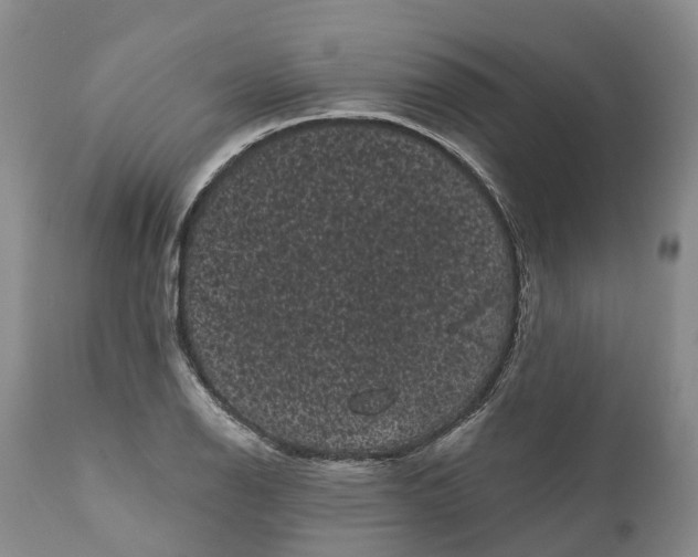 X0000111051126200907091627