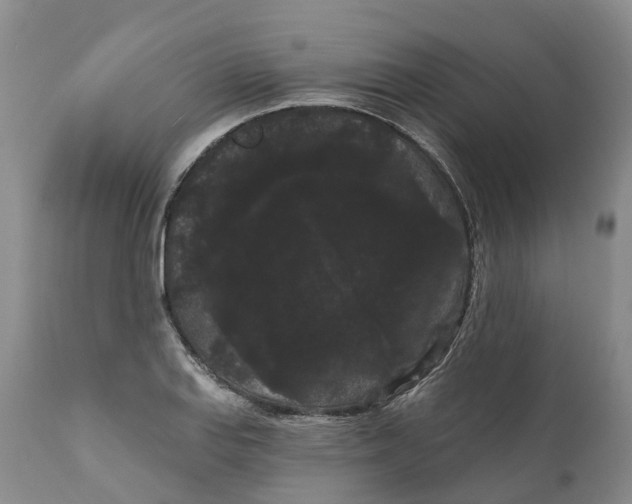 X0000111051127200907091627