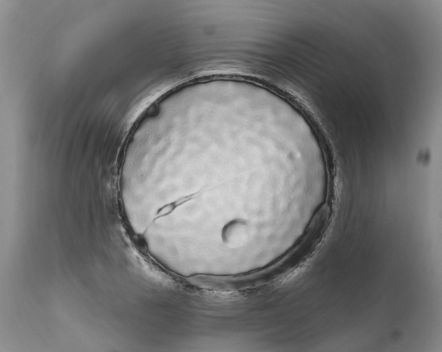 X0000111051129200907091627