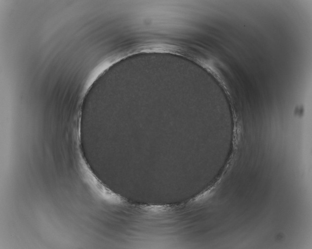 X0000111051130200907091627