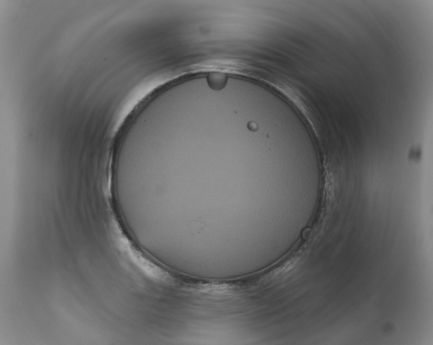 X0000111051131200907091627