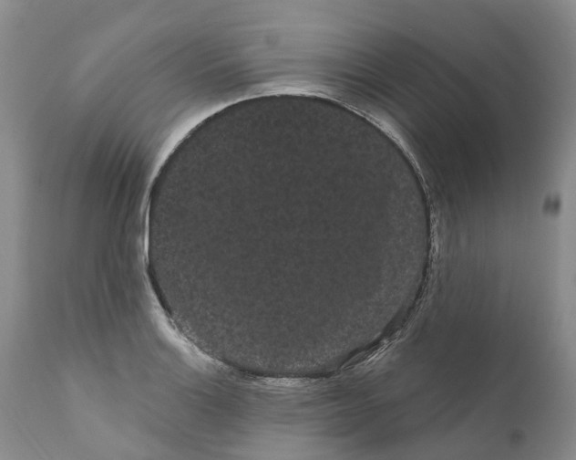 X0000111051132200907091627