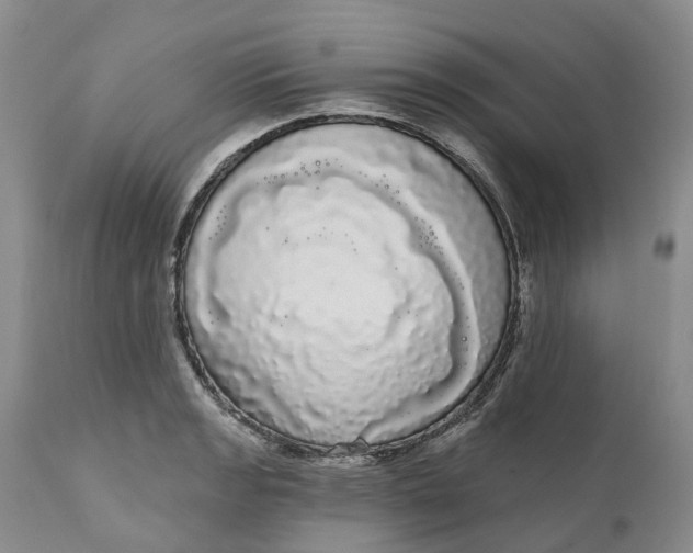 X0000111051133200907091627