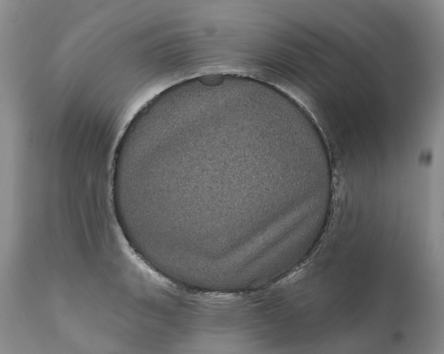 X0000111051135200907091627