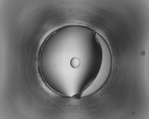 X0000111051136200907091627