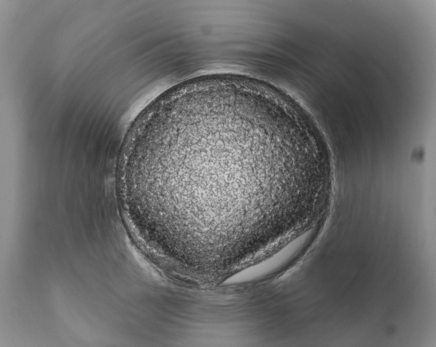 X0000111051137200907091627