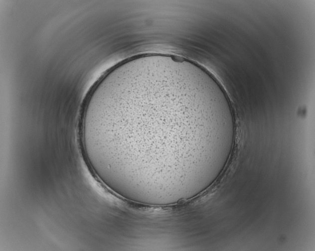 X0000111051139200907091627