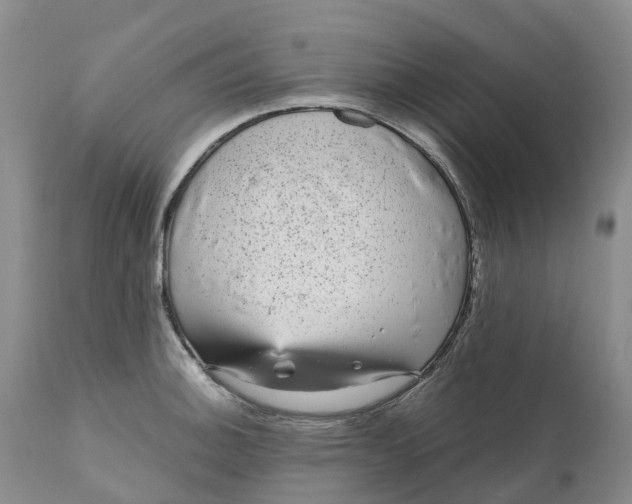 X0000111051140200907091627