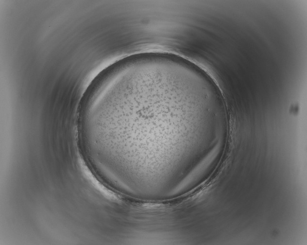 X0000111051142200907091627