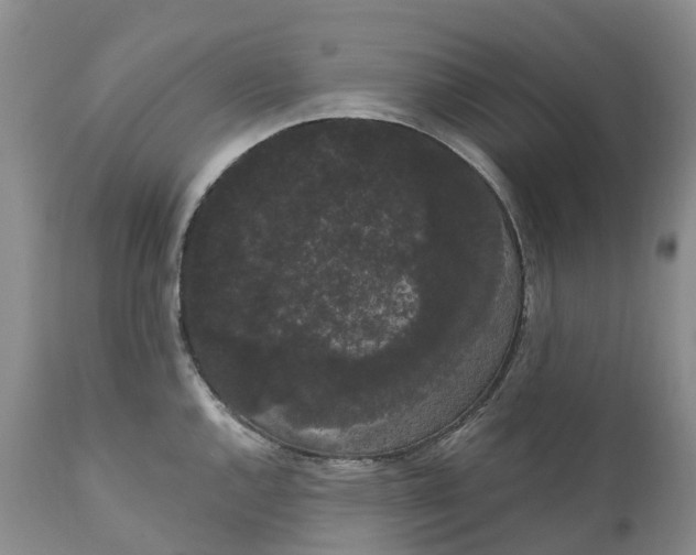 X0000111051144200907091627