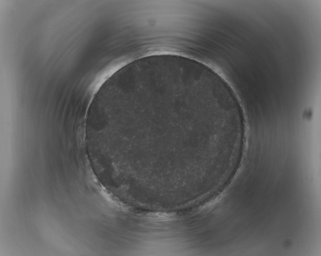 X0000111051145200907091627