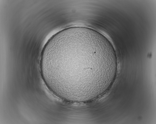 X0000111051146200907091627