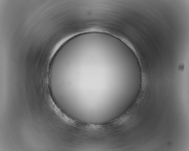 X0000111051148200907091627