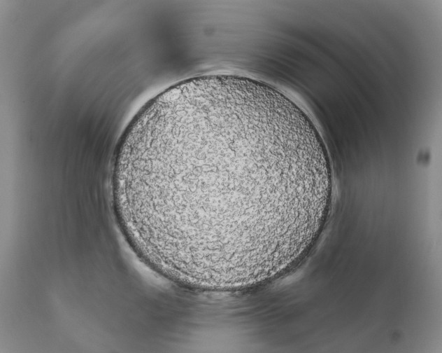 X0000111051149200907091627