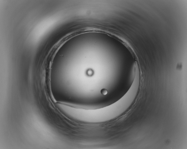 X0000111051151200907091627