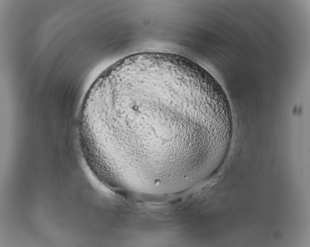 X0000111051152200907091627