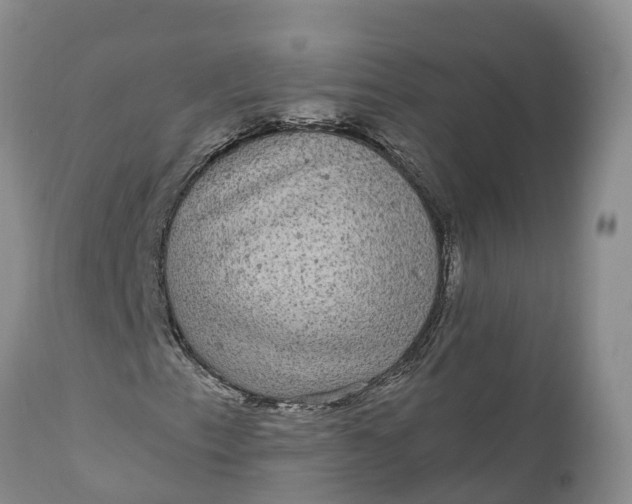 X0000111051153200907091627