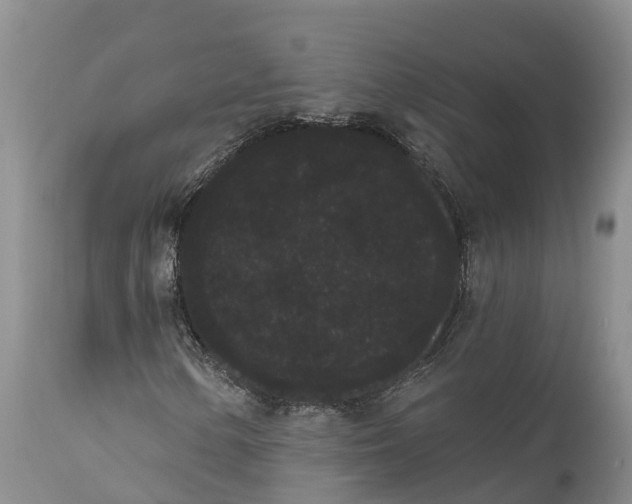 X0000111051154200907091627