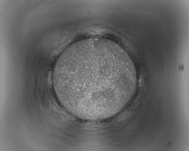 X0000111051156200907091627